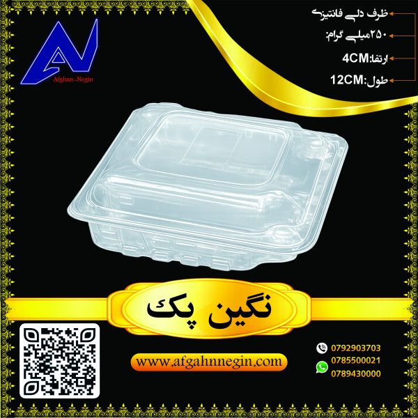 ظرف فانتیزی